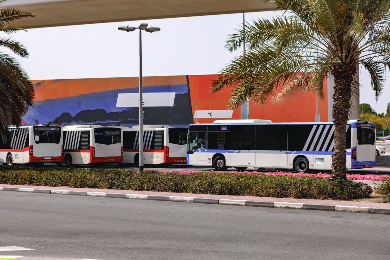 Government & Municipal Fleets